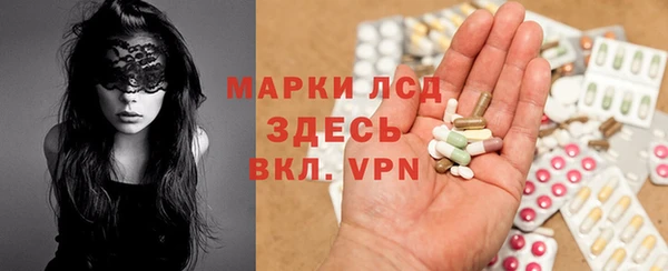 spice Новозыбков
