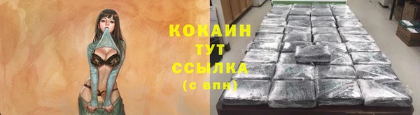 spice Новозыбков