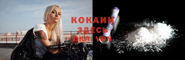 spice Новозыбков