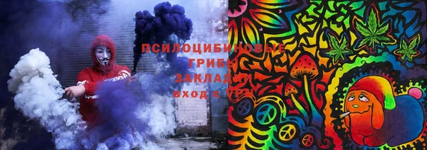 spice Новозыбков