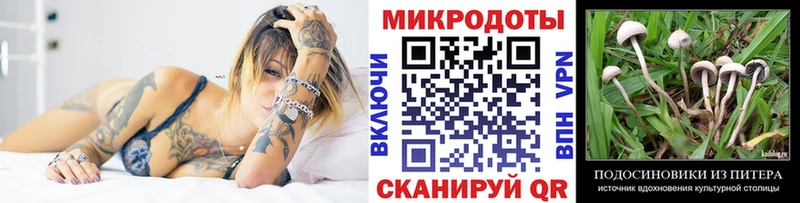 купить наркотики цена  Балахна  Псилоцибиновые грибы Psilocybine cubensis 