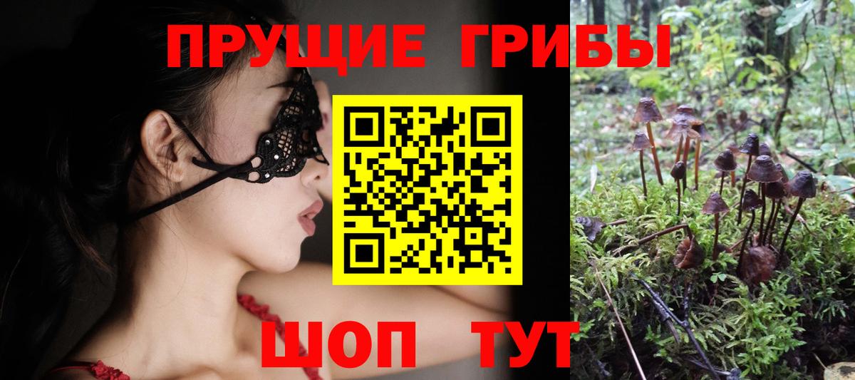 Балахна  Псилоцибиновые грибы прущие грибы  где купить наркоту  Галлюциногенные грибы GOLDEN TEACHER  Вход с VPN 